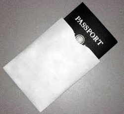 Passport Envelope